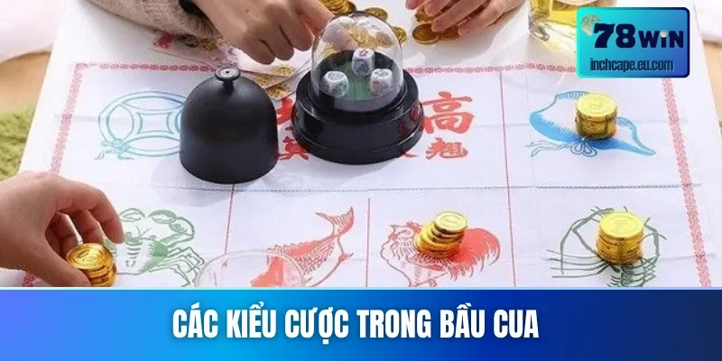Phân loại cược được áp dụng nhiều trong cách chơi bầu cua