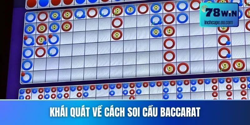 Thông tin cơ bản về cách soi cầu Baccarat cho newbie